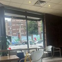 Rolen Bagels ico