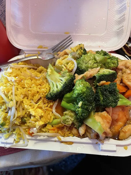 Fly Dragon Picture 2