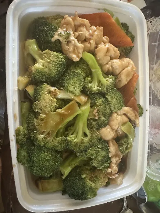 Fly Dragon Picture 3