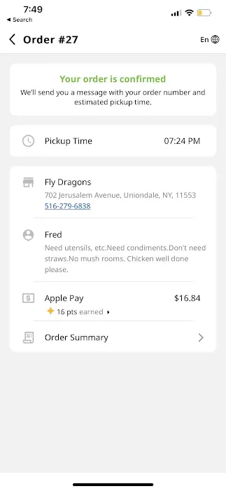 Fly Dragon Picture 5