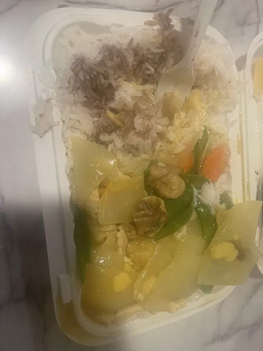 Fly Dragon Picture 6