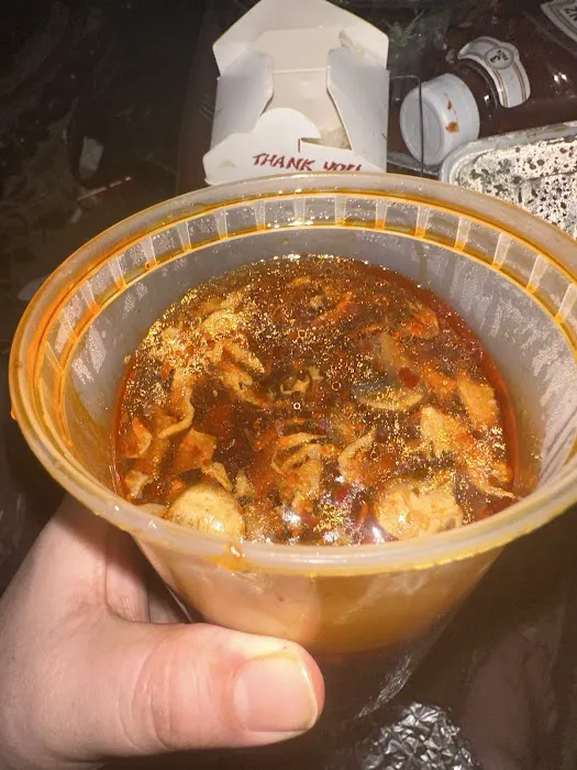 Fly Dragon Picture 1