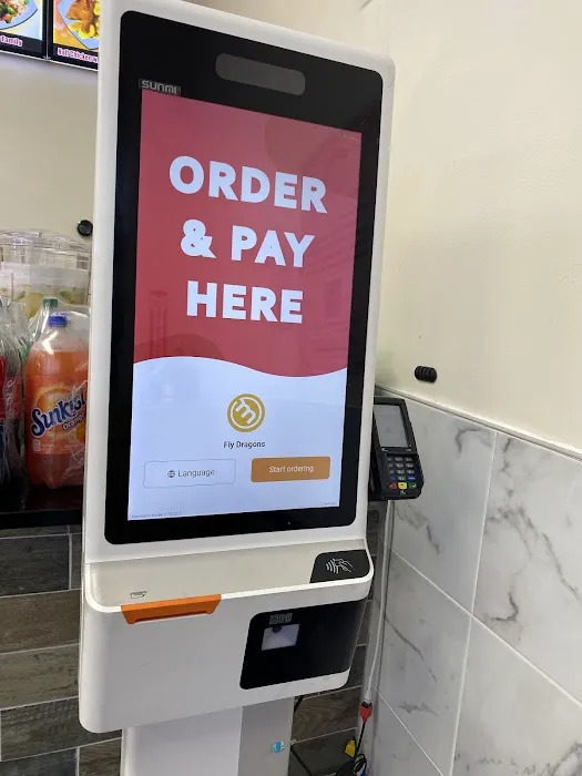 Fly Dragon Picture 7