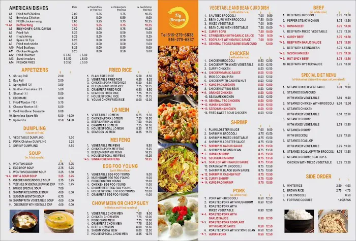 Fly Dragon Picture 8