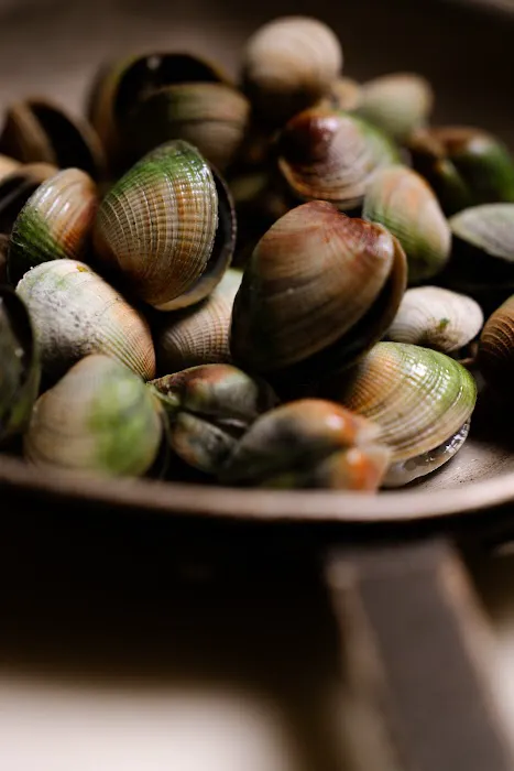 Sapori Ristorante Picture 8