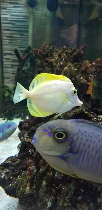 Genki Sushi Picture 5