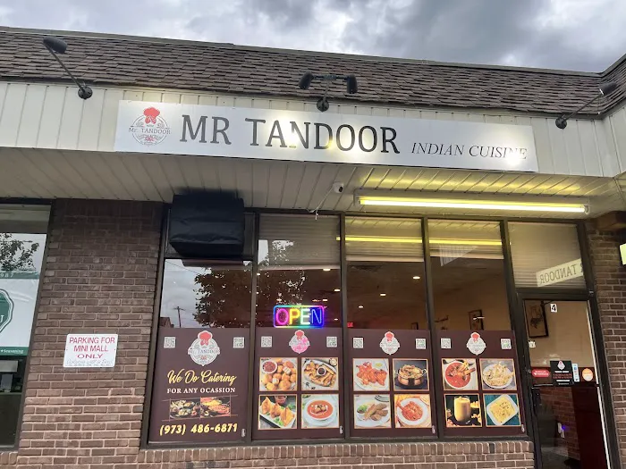 MR Tandoor Indian Cuisine Picture 3