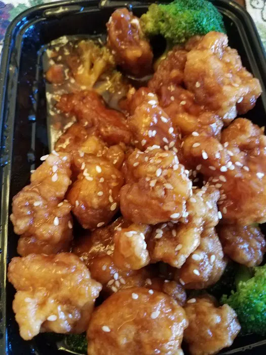 China Garden Picture 4