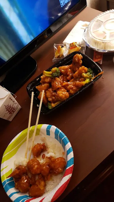 China Garden Picture 8