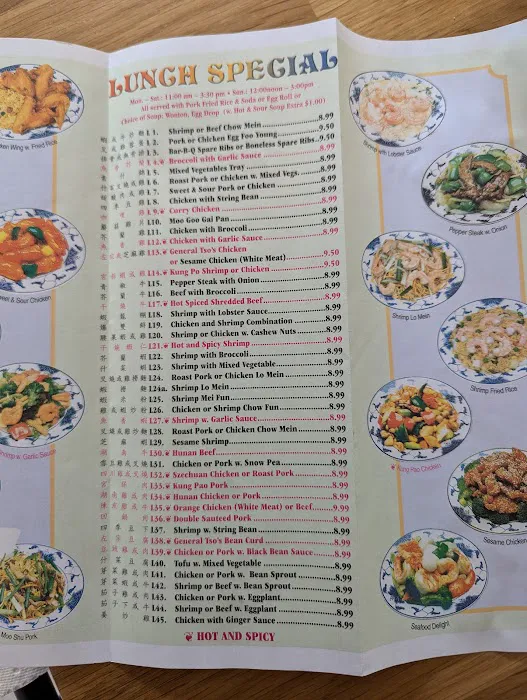 Panda Chinese Restaurant Picture 5