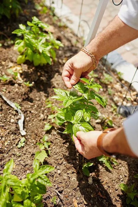 Posto Pazzo Picture 9