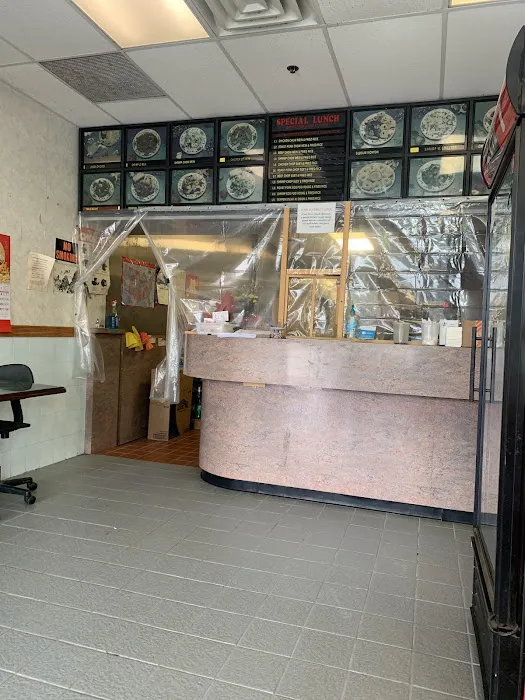 Panda Garden Picture 7