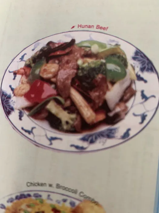 Panda Garden Picture 4