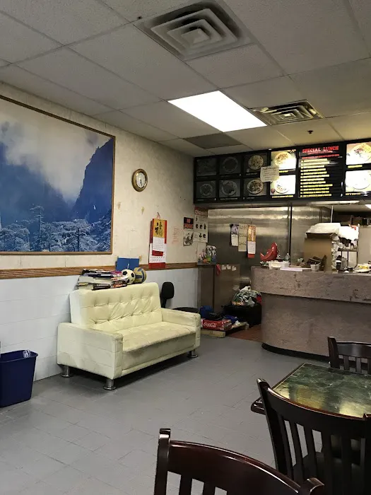 Panda Garden Picture 3