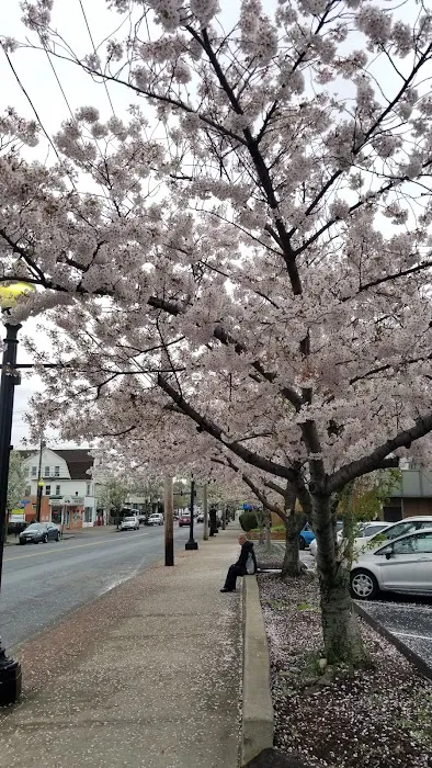 Mistik Peruvian food Picture 1