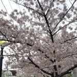 Mistik Peruvian food