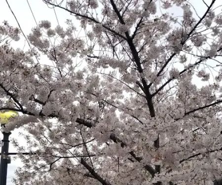 Mistik Peruvian food