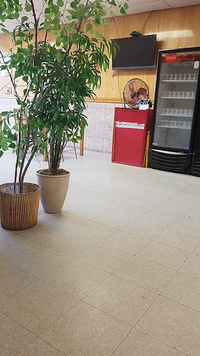 Asian Ginger Picture 5