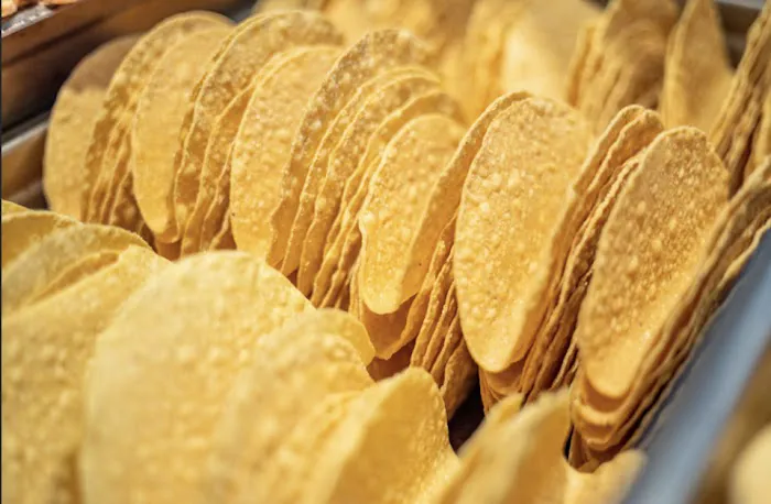 Salsa Fresca Mexican Grill Picture 4