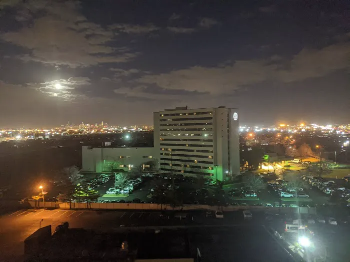 Ted's Bar & Grill Picture 10