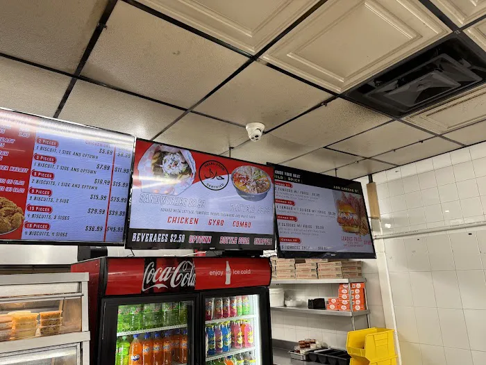 Chicken & Gyro Picture 5