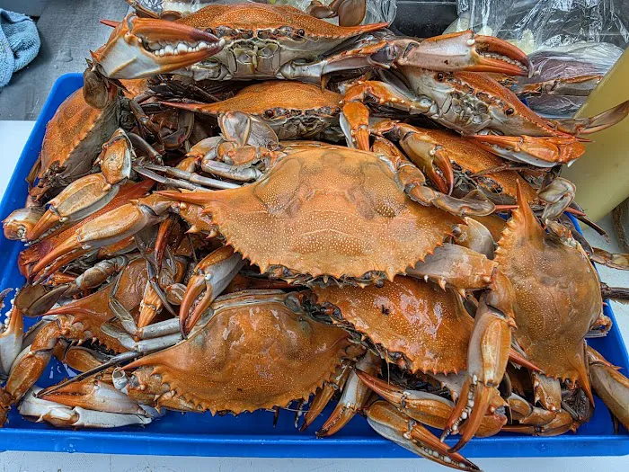 Fish catch market Picture 1