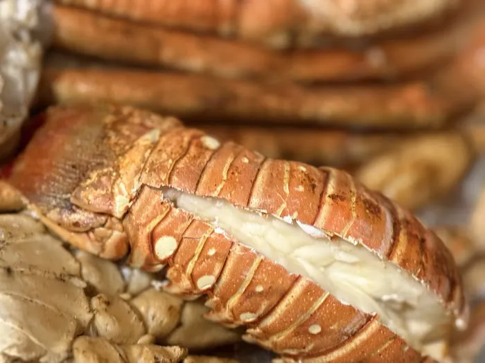 Fish catch market Picture 3