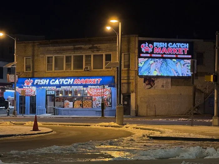 Fish catch market Picture 10