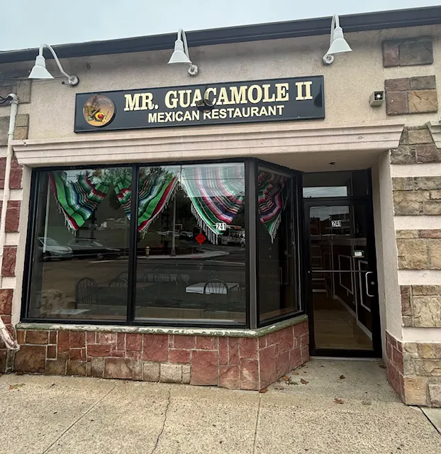 Mr. Guacamole II Picture 10