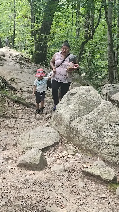 Cherlie Resto LLC Picture 6