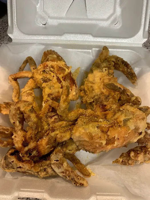 The Chippery Elizabeth Picture 3