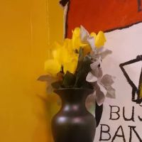 Mama Sher's Caribbean Cuisine ico