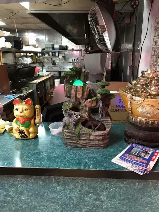 New Wok King Restaurant Picture 3