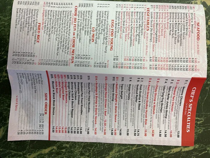 New Wok King Restaurant Picture 2