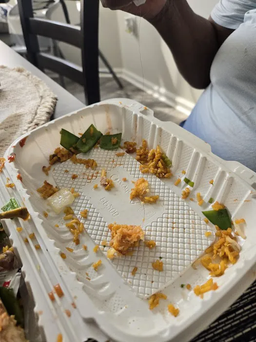 Bamboo China Picture 4