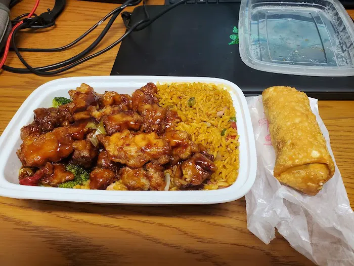 Bamboo China Picture 10