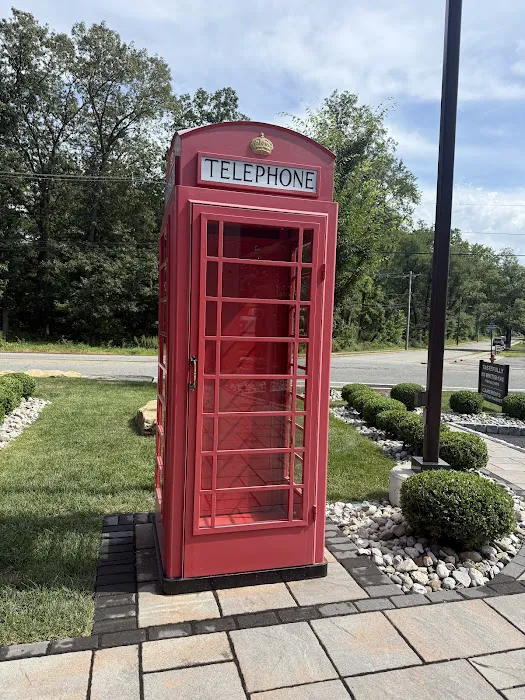 Tastefully British Picture 8