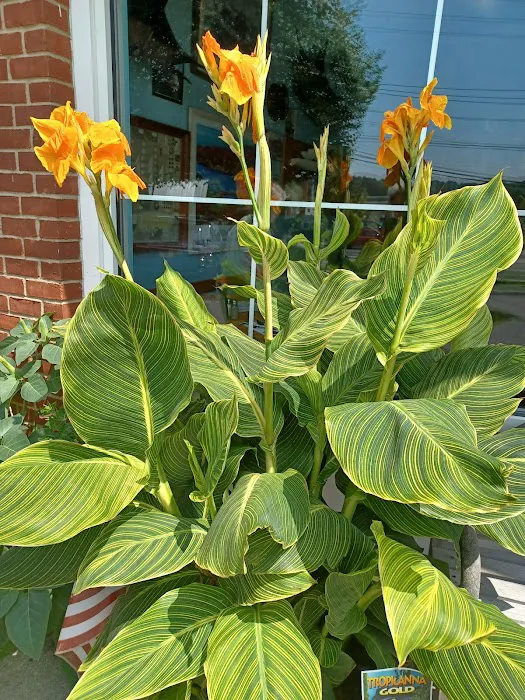 T K's Galley Picture 9