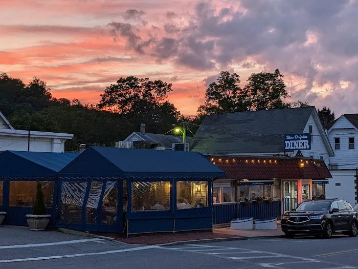 Blue Dolphin Picture 10