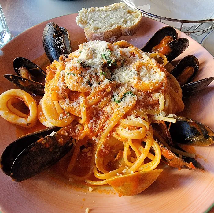 Blue Dolphin Picture 9