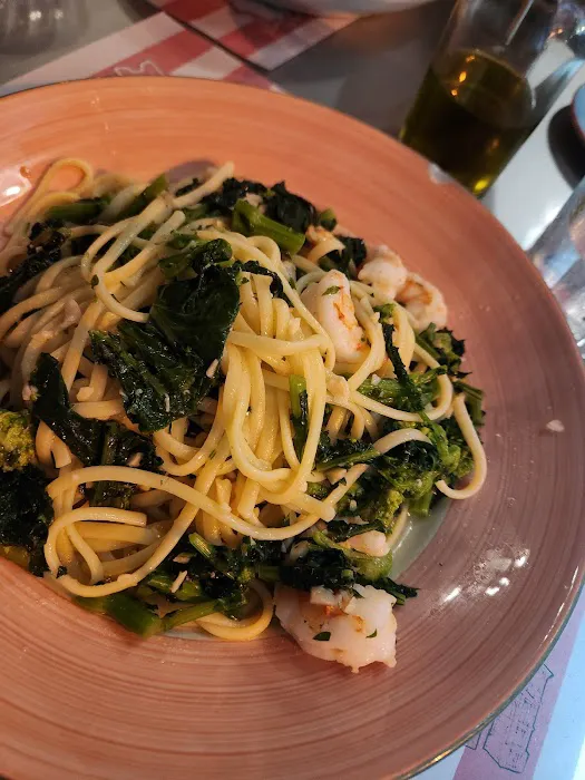 Blue Dolphin Picture 2