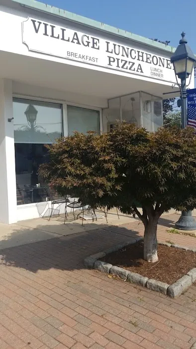 Village Luncheonette & Pizza Picture 5