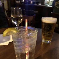 The Horse And Hound ico