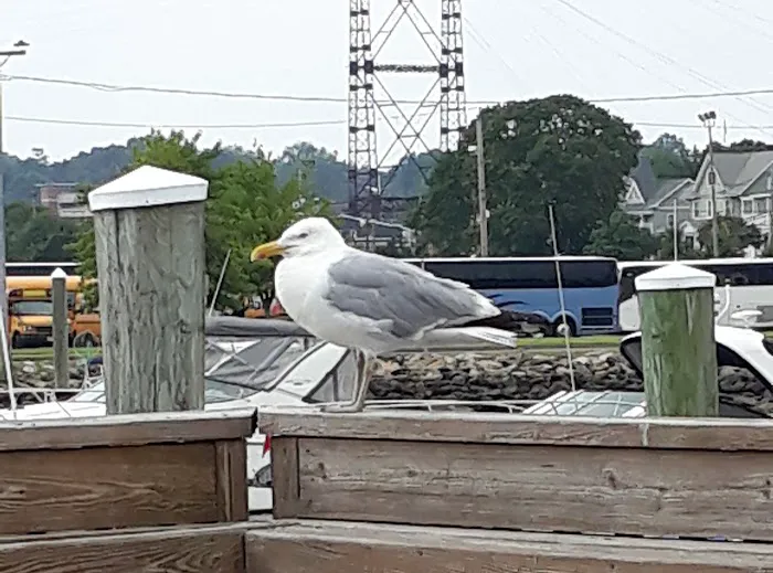 Overton's Seafood Picture 8