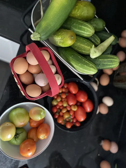 EL COLORADO FOOD TRUCK Picture 10