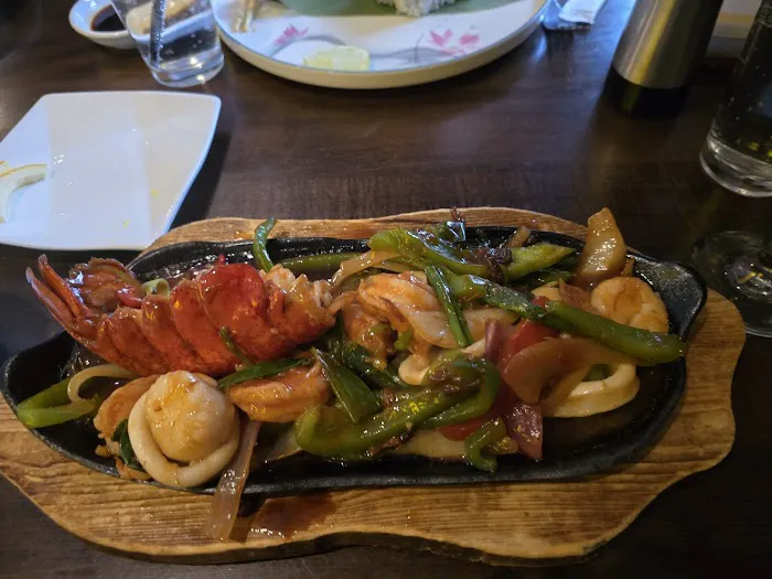 Wild Fusion Picture 5