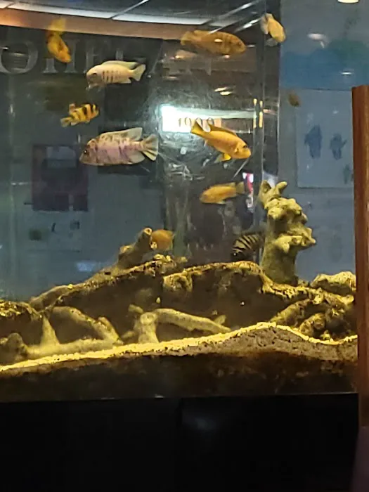 Mohegan Diner Picture 2