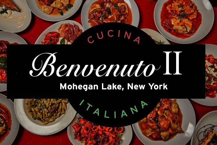 Benvenuto II — Mohegan Lake Picture 6