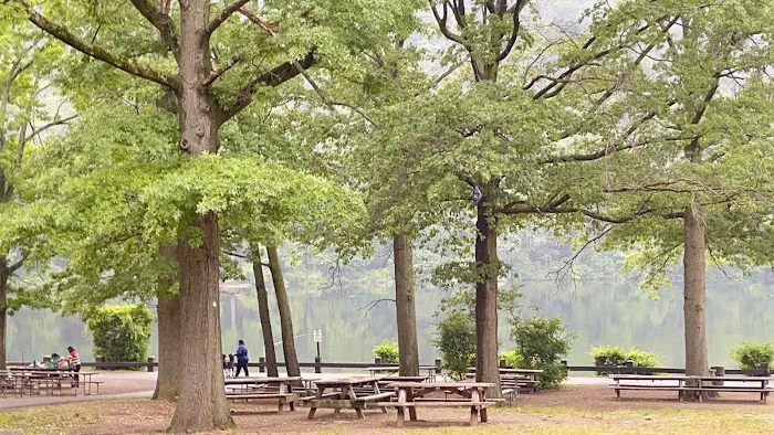 Bear Mountain Picture 6