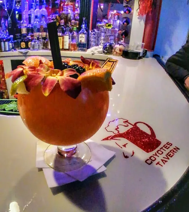 Coyote's Tavern Picture 3